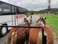 Mit zwei PS geht's weiter - unser Bus hat Leerlauf