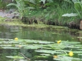 Leipzig vom Wasser aus erkunden