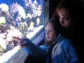 Zella-Mahlis Meeres-Aquarium