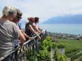 Lausanne  Weingut